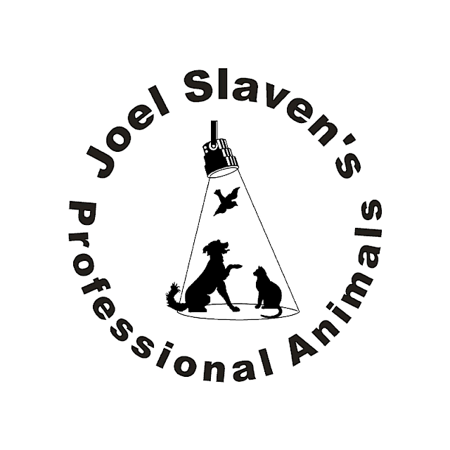 Joel Slaven's Dog Lodge